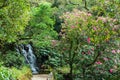 Lovely romantic palace and park ensemble in Sintra, Portugal - Montserrat Palace Royalty Free Stock Photo