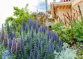 Lovely romantic palace and park ensemble in Sintra, Portugal - Montserrat Palace Royalty Free Stock Photo