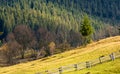 Lovely rural scenery with fence on grassy hillside