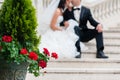 Lovely scene of bride and groom Royalty Free Stock Photo