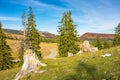 Lovely scenery of Apuseni Natural Park of Romania