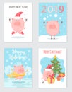 Lovely set of greeting cards with the symbol of the Chinese New Year Pig 2019. Royalty Free Stock Photo