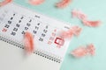 Lovely simple composition of calendar and coral feathers on blue surface