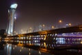 Lovely Singapore Night Panoramic Photo