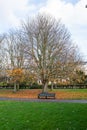 A lovely sitting area in Regent\'s Park perfect for a little rest