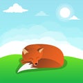 A Lovely sleeping fox illustration Royalty Free Stock Photo