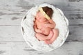 Lovely sleeping newborn girl in eggshell basket Royalty Free Stock Photo