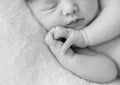 Lovely sleepy face and hands of a newborn baby