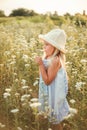 Lovely smiling blond girl in a field at sunset. Cute girl in a flowering field sniffs flowers. Ukrainian in a hat and dress near Royalty Free Stock Photo