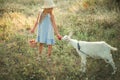 Lovely smiling blonde girl on a farm feeds a goat with apples and plums. Girl with long hair in a hat and dress. Cute baby caring Royalty Free Stock Photo