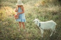 Lovely smiling blonde girl on a farm feeds a goat with apples and plums. Girl with long hair in a hat and dress. Cute baby caring Royalty Free Stock Photo