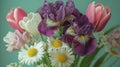 Lovely Spring Bouquet Of Irises Tulips And Daisies Royalty Free Stock Photo