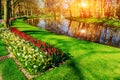 Lovely spring landscape park. Blooming flowers. Sicily. Italy. Europe Royalty Free Stock Photo