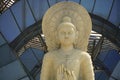 lovely statue of gautam buddha
