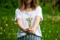 Lovely summer picture of a woman holding dandelion against grass background Royalty Free Stock Photo