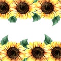 lovely sunflower greeting card design with ornamental element ai generated