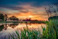 Lovely sunset in a typical Dutch landscape Royalty Free Stock Photo