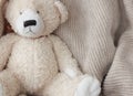 Lovely teddy bear Royalty Free Stock Photo