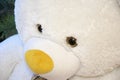 Lovely teddy bear closeup, fluffy big toy