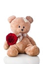 Lovely teddy bear and red rose Royalty Free Stock Photo