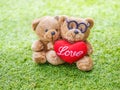 Lovely teddy brown bear and red heart shape