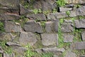 Outdoor Floor Made of Asymmetric Grey Tiles with some Grass Growing in Between