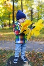 Lovely toddler with maple leaves in autumn park