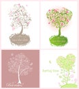 Lovely trees Royalty Free Stock Photo