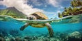Lovely turtle in the ocean, wildlife and nature concept