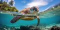 Lovely turtle in the ocean, wildlife and nature concept