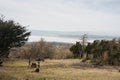 lovely view from arnside knott