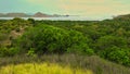 Lovely view of beach, trees and rainbow Royalty Free Stock Photo