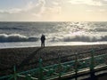 Lovely view of Brighton Pier resort Royalty Free Stock Photo