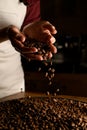 lovely view of female hands with roasted coffee beans pouring out of cupped hands