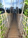 Lovely view of wooden rope bridge with beautiful weather.