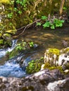 Lovely Water Stream At Early Spring, Homolje Mountains