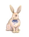 Lovely watercolor rabbit with a blue bow is on a white background. Children's fantastic drawing. Handwork