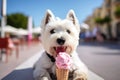 Lovely West highland white terrier dog licking ice-cream in girl hand. Royalty Free Stock Photo