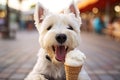 Lovely West highland white terrier dog licking ice-cream in girl hand Royalty Free Stock Photo