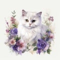 Lovely white fluffy Persian with purple roses