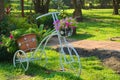 A lovely white metal bicycle flower pot stand, in a sunny Thai garden park. Royalty Free Stock Photo
