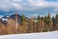 Lovely winter landscape in mountains