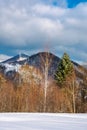 Lovely winter scenery in mountains