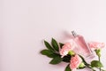 Lovely women's perfume in a glass spray bottle on a pink background with carnations. top view, a copy of the space Royalty Free Stock Photo