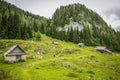 Lovely wooden cottages stand near a pine forest covered mountain in the tranquil Julian Alps. Royalty Free Stock Photo