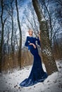 Lovely young lady in elegant blue dress posing in winter scenery, royal look. Fashionable blonde woman with forest in background