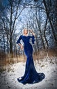 Lovely young lady in elegant blue dress posing in winter scenery, royal look. Fashionable blonde woman with forest in background