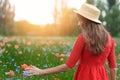 Lovely young romantic woman in straw hat walking on poppy flower field and takes poppies. Soft summer sunset colors Royalty Free Stock Photo