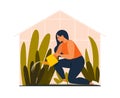 Lovely young woman or gardener taking care of home garden, watering houseplants growing in greenhouse. Flat cartoon vector