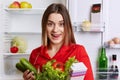 Lovely young woman with happy look licks lips as sees much delcious food, holds fresh cucumbers, tomatoes, lettuce, dill and pack